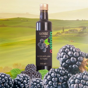 Doğal Katkısız Böğürtlen Sirkesi